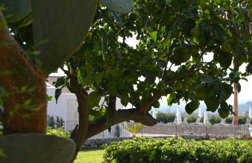 Agriturismo Tenute Mauro - Photo 58