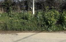 Meadowside Cottage, Characterful Grade 2 Listed Cottage near to Wadebridge and Padstow - Foto 31