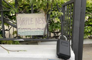 purple nest - Foto 17