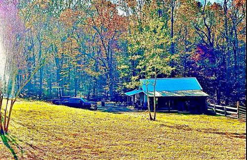 King Suite & Bunkhouse - Deer Camp - WiFi - Grill - Foto 25