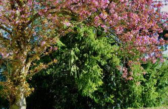 FeWo "Im Birnaublick" am Bodensee, Konstanz-Wallhausen - Foto 9