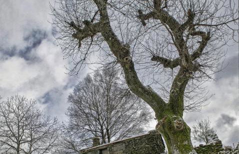 Casa do Rio, Natureza - Nova Gestão - Foto 68