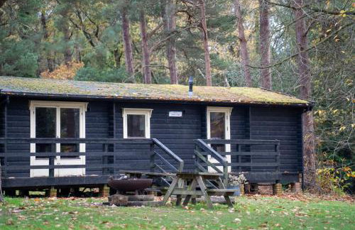 Avon Tyrrell Outdoor Activity Centre - Foto 39