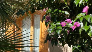 Casa delle Farfalle - Foto 4