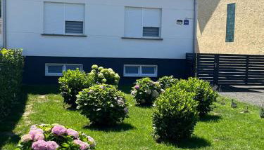 Apartman Kuća 150 - Foto 2