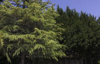 Casa do Lago - Foto 11