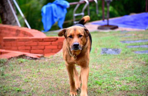 Sítio Maranatá, a mais bela vista do Pacoti! 20min de Guaramiranga! - Foto 9