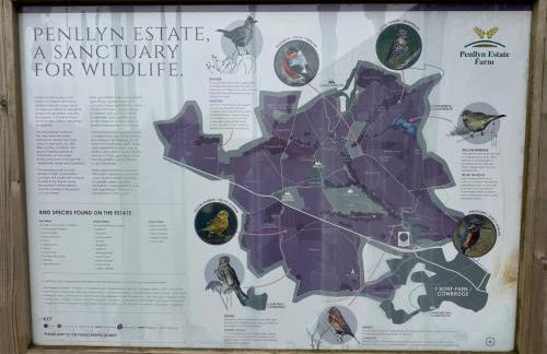 Hazel Hobbit Pod at Cowbridge Cabins - Photo 21