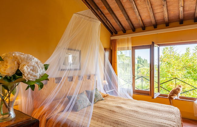 Torraccia di Chiusi - Foto 24