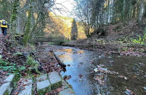 Ferienwohnung Sofie - Foto 55
