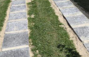 CASA EM PRAIA SECA - Foto 17