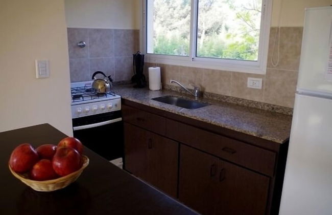 Terra Magna - Photo 6