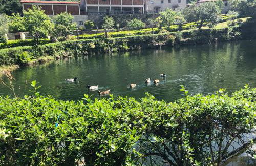 Quinta de Barbêdo - Turismo Rural - Foto 15