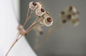 Hof Janne Stapelburg - Foto 29