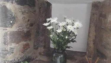 A Toca do Cuco na Vila da Sertã - Foto 5