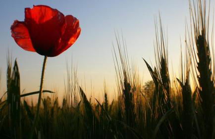 Agriturismo Colombera - Foto 55