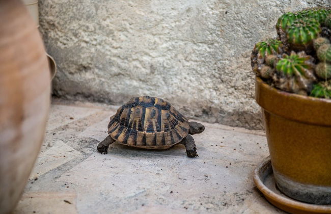 La Maison de Famille - Foto 29