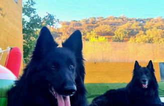 El Pico de Aroche - Foto 19