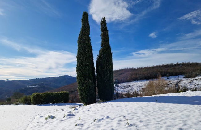 VIN Hotel - La Meridiana - Photo 66