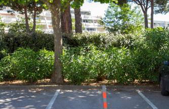 Chez Hervé - Charmant appartement avec piscine et parking - Photo 19