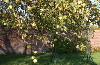 Gut Kattenhöhlen - Foto 39