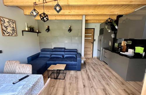 Domki Nad Starym Potokiem - Foto 8