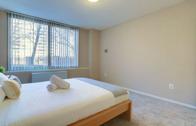 Crystal City Comfortable Apartments - Photo 19