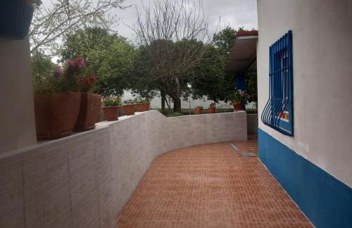 CASA DA ALDEIA - Ponte de Sor (Alentejo) - Foto 14