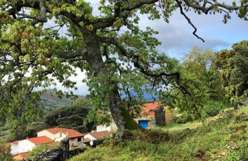 Casa Rural Las Jañonas CC-CR-00219 - Foto 17