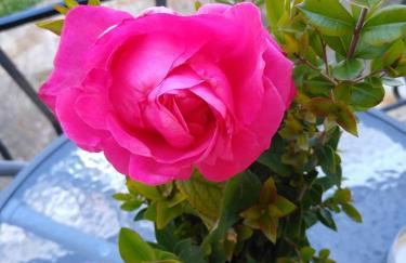 mare di zante "mare di levante" - Foto 46