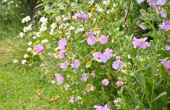 Bluebell Cabin - Foto 41