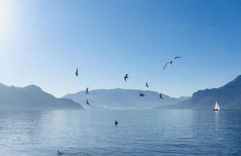 La Giazzera - Foto 16