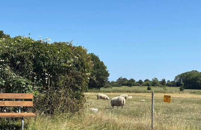 Cozy Retreat With Sauna - By Traum Ferienwohnungen - Photo 5