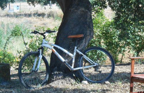 Quinta do Archino - Foto 22