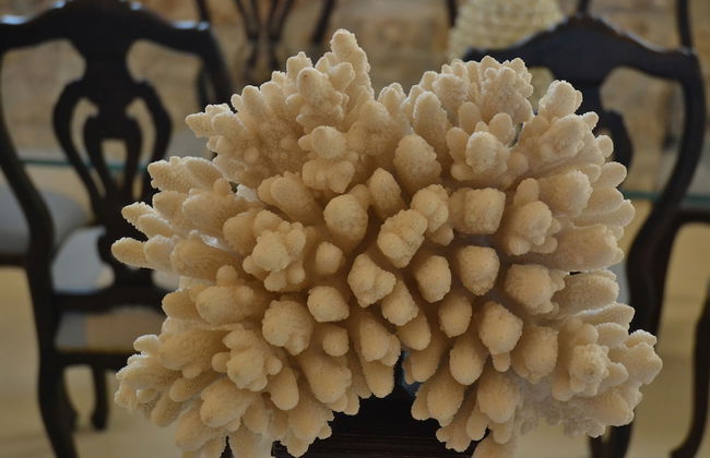 Scilla Maris Charming Suites-Restaurant - Foto 65