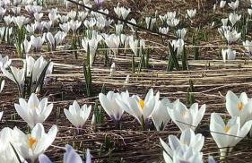 Da Giulia e Pietro Antonio - Foto 21