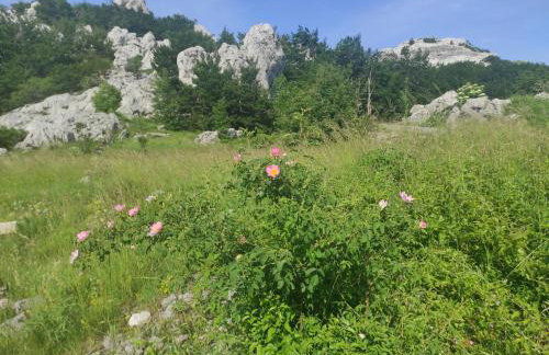 Lika Relax and Party House with sauna, jacuzzi and outdoor heated swimming pool - Foto 35