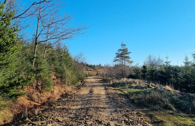 Bashall Barn, Eaves Hall, Outbarn all Close by - Foto 12