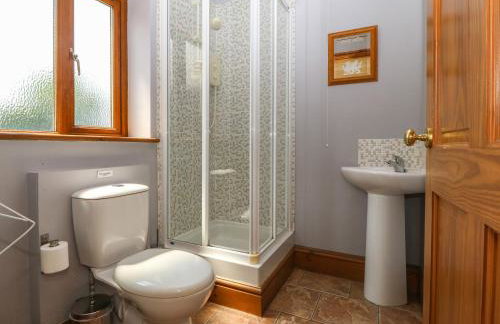 Fferam Y Llyn - Foto 42