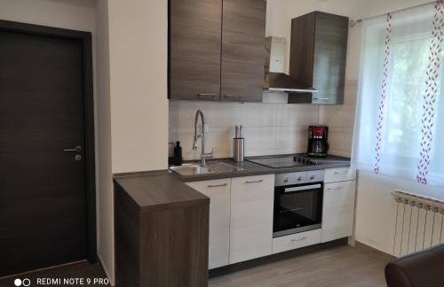 Apartment Tominovic - Foto 36