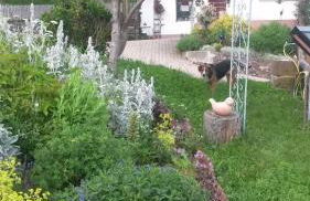 Ferienwohnung s' Plätzli - Photo 14