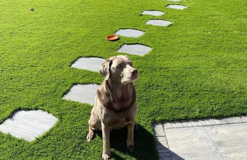 The Lake - Casa Vacanza - Foto 41