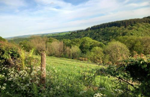 Sheepfold Cottage Dulverton - Foto 20