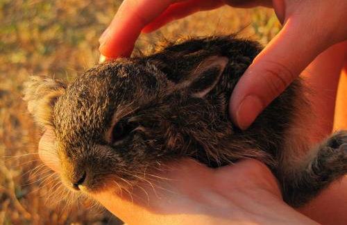 Agriturismo La Fontaccia - Foto 47