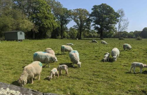 The Piggery - Foto 22