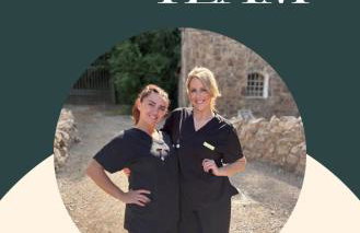 Tan-yr-Ogo Gate Lodge, Gwrych Castle - Foto 38