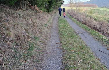 Wald & Weg - Foto 23