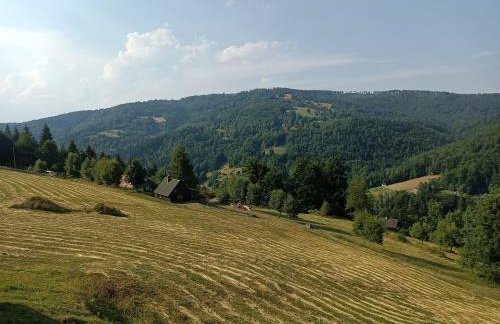 Przystanek Bystra - Foto 9