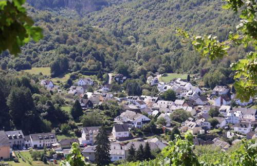 Fell & Pfote - Foto 27