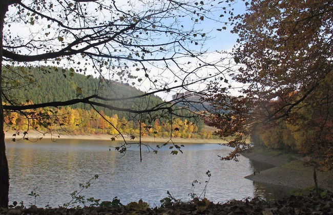 Holiday Home in Mielinghausen Near ski Area - Foto 19